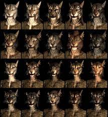 The Unofficial Elder Scrolls Pages