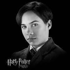 Warum Sieht Tom Riddle Im 2 Teil Teil Anders Aus Als Im 6 Film Buch Fantasy