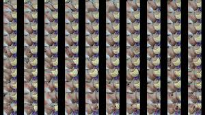 Oil boobs - XNXX.COM