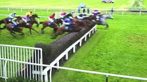 The georgia international horse park hosts a variety of events, including horse shows, festivals, rodeos, dog shows, concerts, banquets, picnics, obstacle course races, weddings, mountain bike races and much more. Steeplechase Stock Footage Royalty Free Stock Videos Pond5