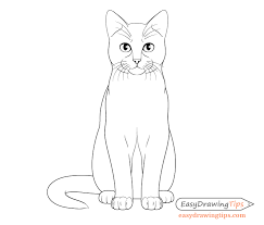 Draw the hair and ears white.blue cat on the stone.work with children and adults in quarantine.manual step by step drawing of a cute kittie kitten in the house looking out of the window. How To Draw A Cat Step By Step From Front View Easydrawingtips