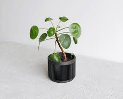 Chinese porcelain planter in rose medallion pattern. Black Indoor Planter Japan Minimum Design