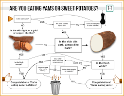 What The Hell Am I Eating Yams Or Sweet Potatoes Heres