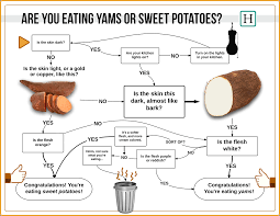 what the hell am i eating yams or sweet potatoes heres