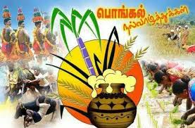 கதிர் அறுத்து நெல் உதிர்த்து வைக்கோல் போர் செய்து நெல் மூட்டை கட்டிய  நாட்கள் போய்... மீண்டும் #தமிழினம் உழ… | Happy pongal, Happy pongal wishes,  Harvest festival