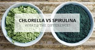 chlorella vs spirulina what s the difference chlorella vs spirulina what s the