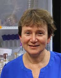 The DNA damageome and cancer, and drugging evolution of antibiotic  resistance”