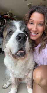 Saint Bernard Mixed with A Great Pyrenees