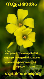 Then you are at the right place, here we provide best collection of malayalam quotes. Pin By Eron On Good Morning Malayalam Good Morning Wishes Good Morning Images Morning Images