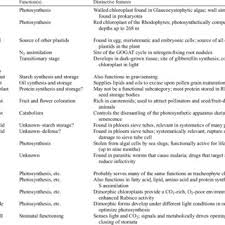 Although both animal and plant cells bear similarities, there are differences between plant and animal cells by from shape, size, organelles as eukaryotic cells, plants and animal cells share many features in common as the presence of organelles like the nucleus, mitochondria, cell. Pdf The Diversity Of Plastid Form And Function