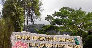In your city or country to also experiencepenang national park (taman negara pulau pinang).promoting your link also lets your audience know that you are featured on a rapidly growing. Kejernihan Air Taman Rimba Teluk Bahang Penang Blog Sihatimerahjambu