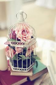 Birdcage decorations are one of them that will go with any wedding style, be it modern or decorating a birdcage for a wedding. 22 Decorative Bird Cages Repurposed And Improved