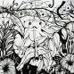 DRAWING With INK for Beginners - 4 Week Class event image