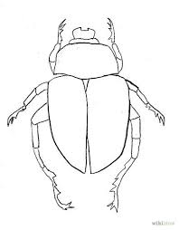 Beetle Line Drawing Beetle Drawing Beetle Art Bugs Drawing
