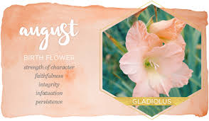 Birth Month Flowers And Their Meanings In 2020 Birth Flowers August Birth Flower Birth Month Flowers