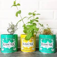 Kusmi Tea Paris On Instagram Concours Etes Vous Le Fan Kusmi Tea Le Plus Creatif Tentez De Remporter Une Bo Kusmi Tea Boite Kusmi Tea Kusmi Tea Detox