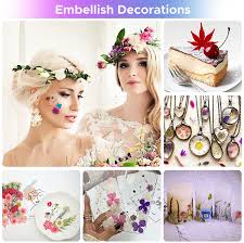 We did not find results for: Buy 146 Pcs Real Natural Dried Pressed Flowers For Resin Dry Flower Bulk Natural Herbs Kit For Candle Epoxy Resin Soap Making Scrapbooking Diy Art Crafts Painting Online In Germany B094blcyds