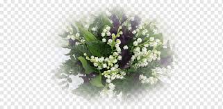 Последние твиты от muguet (@muguetzzle). Muguet Png Pngwing