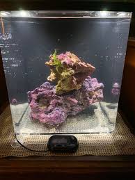 I unbox the top fin relax aquarium kit from petsmart. Top Fin 2g Bettaflo Calm General Discussion Nano Reef Community
