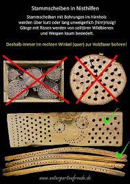 Verbreiteter ist die bauart jedoch als hirnholz schneidebrett bzw. Schautafel Stammscheiben Baumscheiben Bohrungen Im Hirnholz Risse Rissbildung Hartholz Hartholzklotz Nisthilfen Insektennis Insektenhotel Wildbienen Nisthilfen
