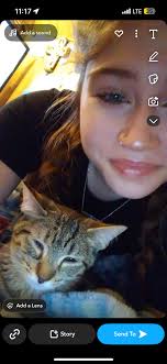 Lost cat in the area of 3rd and Lincoln