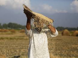 Pm kisan yojana is a centrally sponsored scheme with almost 100% funding from the government of india.the entire amount given under this scheme is. Pm Kisan Scheme Govt To Transfer Rs 2 000 Under Pm Kisan Scheme To 8 69 Crore Farmers In April 1st Week The Economic Times