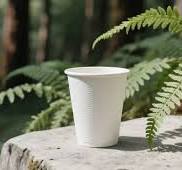 Choosing the Best Biodegradable Paper Cups: What You Need to ...
