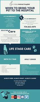 Ann Arbor Animal Hospital Emergency Veterinarian Open 24 7 365