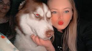 Lost Cat Pineapple in Lincoln, Nebraska, near 84th and O street