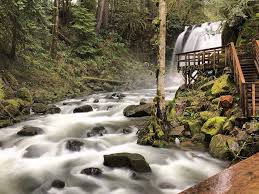 Check spelling or type a new query. Mcdowell Creek Falls Oregon Swimming Oregon Life Washington Vacation