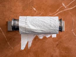Head outside and hang the toilet paper roll bird feeder from a tree! Empty Toilet Paper Roll Stockphoto