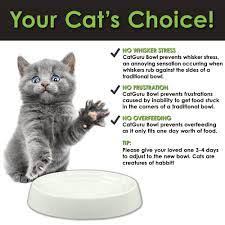 Pin On Cat Feeding And Watering Supplies