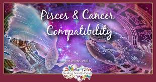 They can form a bond that is emotionally enriching, undeniably warm and naturally nourishing. Pisces And Cancer Compatibility Friendship Sex Love