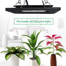 Plants are in a very bright sunroom but dont get direct sun. Plant Grow Flood Light Outdoor Ip67 Waterproof Led Grow Light 100w 200w 300w Flowers Grow Lamp For Vegs Hydroponic System Led Grow Lights Aliexpress