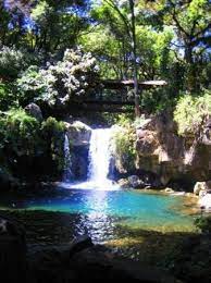 Purépecha yaylalarının batı ucunda , tierra caliente bölgesinin hemen doğusunda yer almaktadır. A Taste Of Paradise Picture Of Uruapan Michoacan Tripadvisor