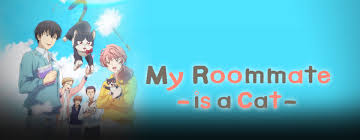 An eccentric author and a stray cat. English Dub Review My Roommate Is A Cat I Touch You Bubbleblabber