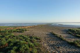 Минимум вмешательства человека, не говоря о. Velokruiz Po Gollandii Vattovoe More