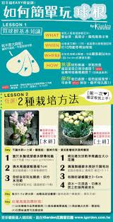 圖解 第一次玩球根就上手 哪裡買球根 土耕水耕如何種球根 球根花卉照顧方式 園藝部落格 igarden 花寶愛花園園藝文摘plus hydroponics hydroponic growing hydroponics diy