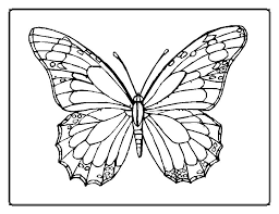 There's something for everyone from beginners to the advanced. Free Coloring Pages Of Butterflies