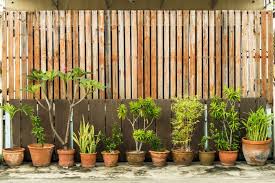 This tall ornamental grass comes in a variety of species, one of which will fit your needs. 7 Amazing Garden Screening Ideas For Privacy Horticulture