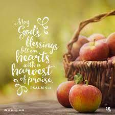 This package of 'god's promises to you' inspirational thanksgiving cards from dayspring reminds friends and family of god's faithfulness to care for those who place their trust in him. Harvest Of Praise