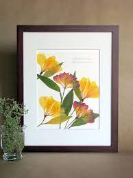 Pressed Flowers Print 11x14 Double Matted Alstroemeria Etsy Flower Prints Art Pressed Flower Art Dry Leaf Art
