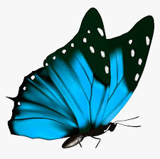 Transparent Blue Butterfly Clipart Blue Butterfly Transparent Background Hd Png Download Is Free Transparent Pn Butterfly Clip Art Clip Art Butterfly Photos