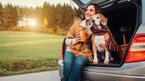 Tips For Traveling With Pets Bookmundi