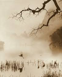 Epingle Par Maria Cristina Gomez Sur Signe Noir Peinture Chinoise Peinture Japonaise Peinture Paysage