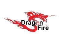 Dragon Fire Gloves Emergency Responder Products