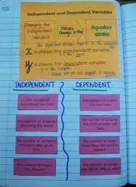 Algebra 1 Introduction To Relations And Functions Interaktive Notebooks Mathe Und Biologie