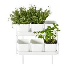 Ikea Us Furniture And Home Furnishings Ikea Plants Herb Garden In Kitchen Potted Plants