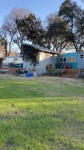 Image result for Honeysuckle 1973 Austin