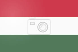 Flaga węgier volkshochschule ravensberg flaga narodowa, flaga, egipt, flaga png. Flaga Wegier Oficjalne Kolory I Proporcje Poprawnie Flaga Narodowa Fototapeta Fototapety Myloview Pl